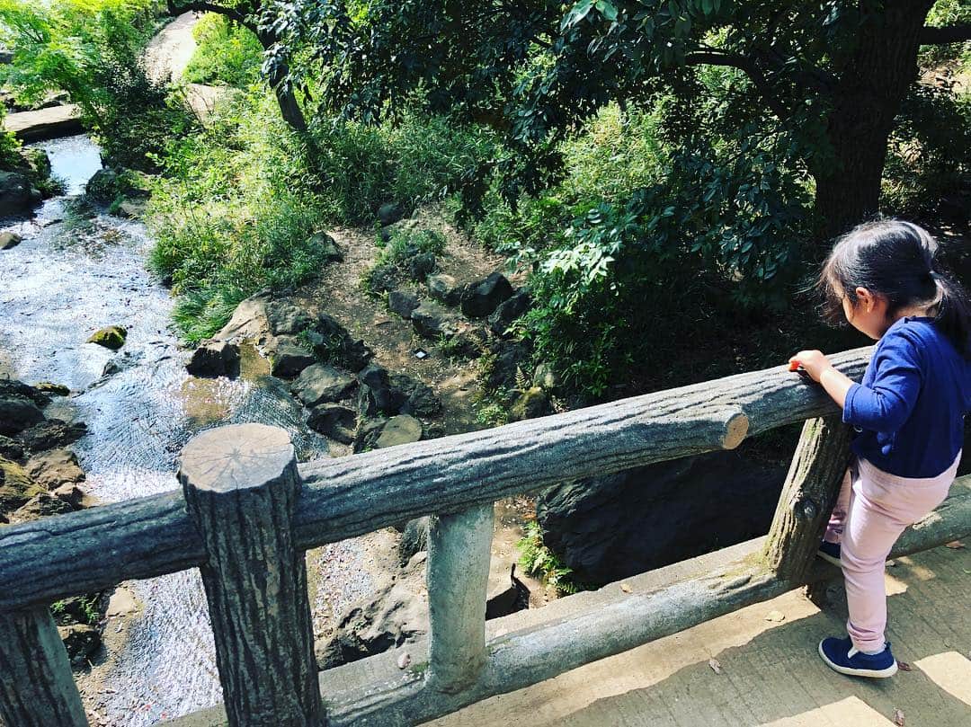 のインスタグラム：「We wish to feel the air of nature, because we're always living in the metropolitan. #nature #自然体験 #二重暮らし #tokyo #tateyama」