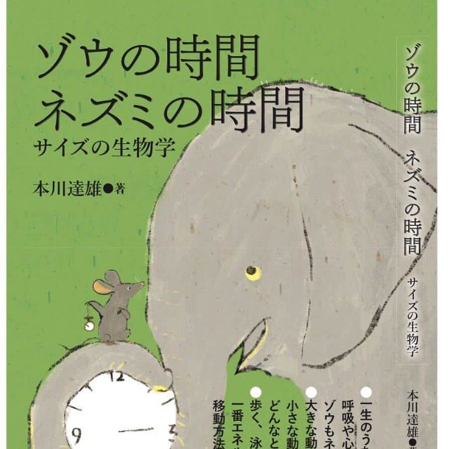 momoroさんのインスタグラム写真 - (momoroInstagram)「#ゾウ#象#elephant #illustration #momoro#ももろ#イラスト」4月28日 9時31分 - momoro6666