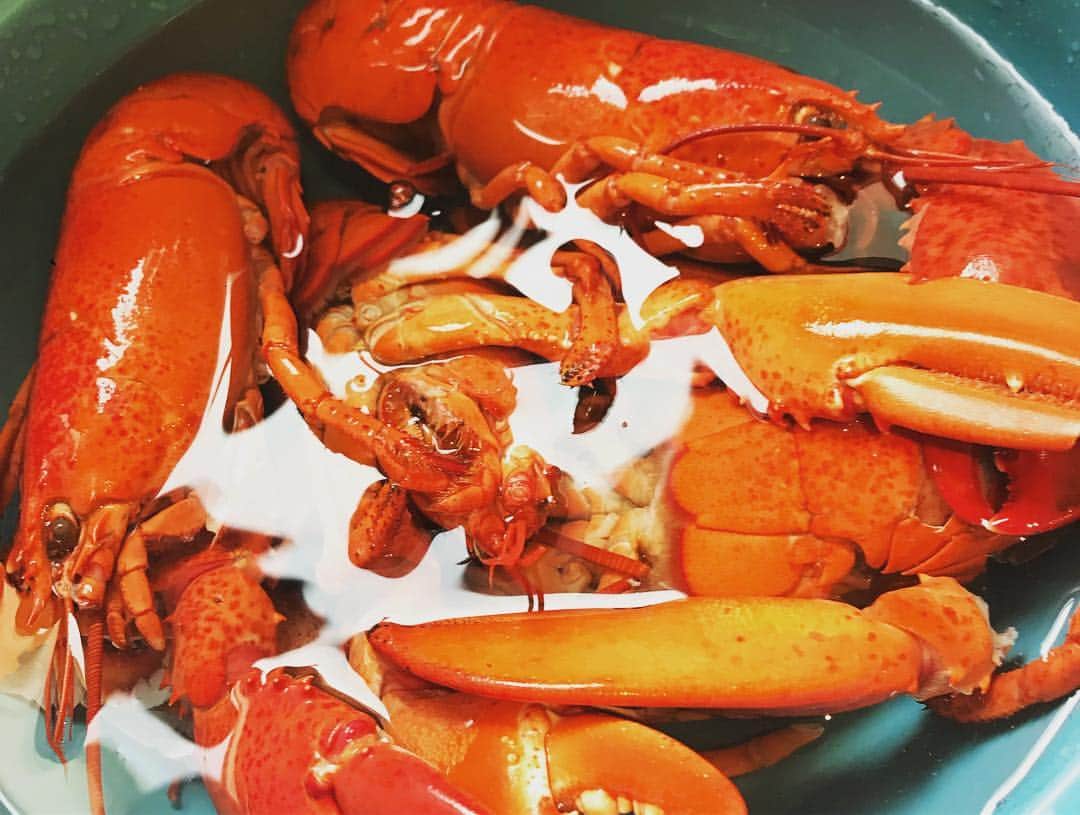 のインスタグラム：「traditional welcome🇨🇦 yummy lobster❤️ Thank you！x  kids playing hockey...... viva 🇨🇦 #vacay #visitfam #canada」