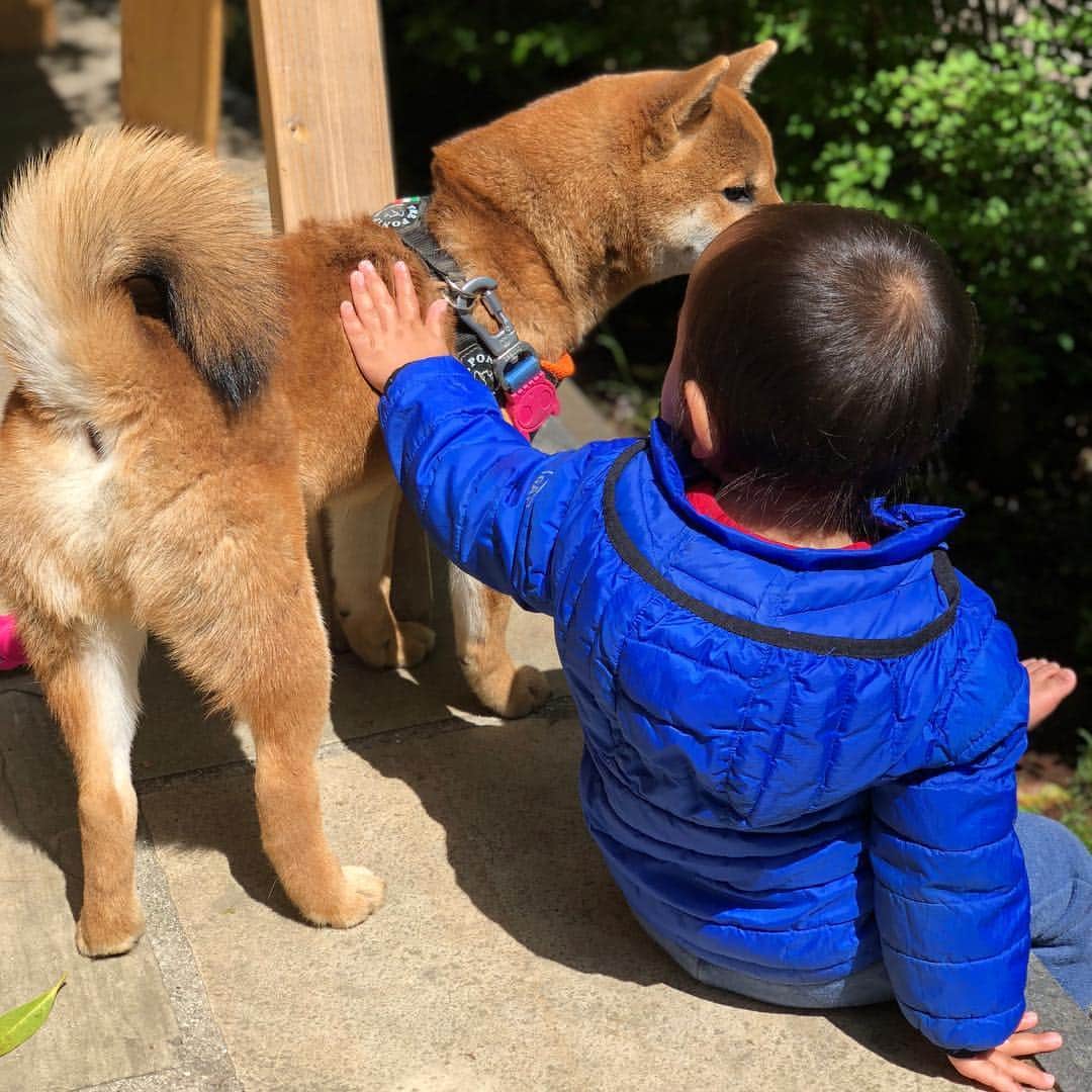 迫田愛子のグルメインスタ