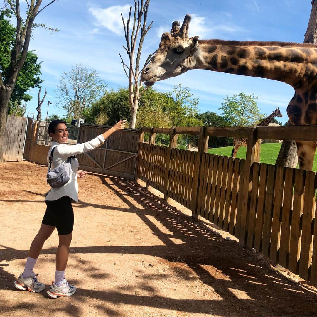 ジョルジーナ・ロドリゲスさんのインスタグラム写真 - (ジョルジーナ・ロドリゲスInstagram)「Wonderful day at the zoo with my babies 🦒🦏🐢 wearing @lovexlabels 👗」4月28日 1時30分 - georginagio