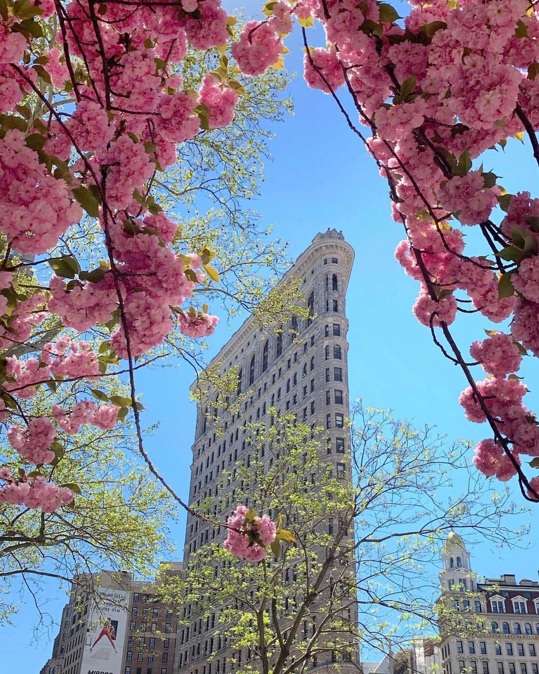 Warby Parkerさんのインスタグラム写真 - (Warby ParkerInstagram)「Springtime in NYC: 👆 Us: 😍😁🤩」4月28日 1時47分 - warbyparker