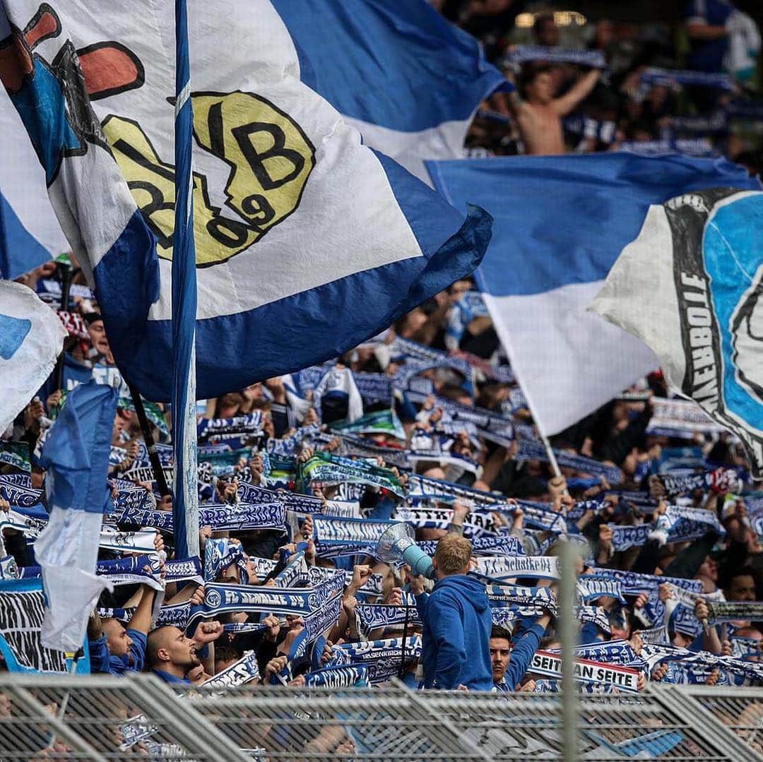 マティヤ・ナスタシッチのインスタグラム：「DERBYSIEGER! 👊🏼🔵⚪ Vielen Dank für eure großartige Unterstützung! Gute und sichere Heimreise! 🙌🏼 #derbysieger #nurderS04 #Knappen #Königsblau @s04」