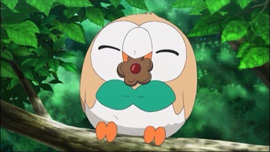 のインスタグラム：「Ash's Rowlet is doing its best!」