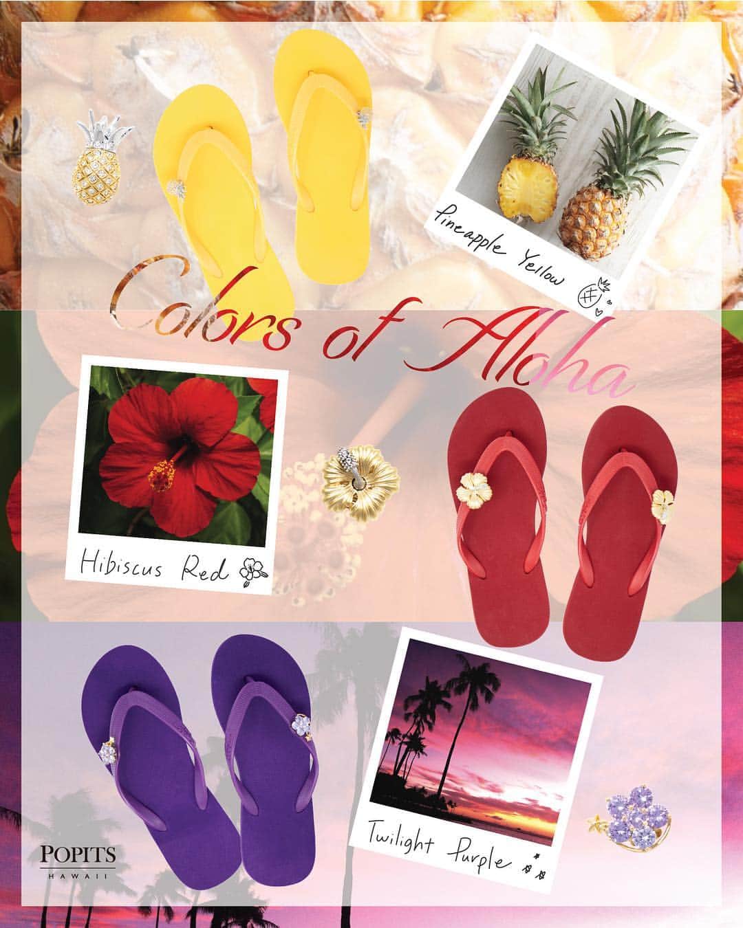 Popits Hawaiiさんのインスタグラム写真 - (Popits HawaiiInstagram)「Find your island color and decorate your feet in sandals made for all day everyday comfort. All orders must be placed between April 27th, 2019 and May 6th, 2019 to receive a 50% off on Domestic & International shipping. Online only at www.popitshawaii.com.⁣ ⁣ 5月6日 23時59分（ハワイ時間）までにオンラインでご購入頂くとアメリカ国内と日本への送料が半額になります。自分のアイランドカラーを見つけよう🌺⁣ ⁣ ⁣ #popitshawaii #ポピッツ #sandals #charms #alohastate #luckywelivehawaii #waikiki #footwear #thong #happyfeet #flipflops #slippers #ハワイ #ハワイ旅行 #ハワイ好き #ハワイ大好き #ハワイ好きな人と繋がりたい #ビーチサンダル #フラ #フラダンス #占い #islandcolor」4月28日 4時08分 - popitshawaii