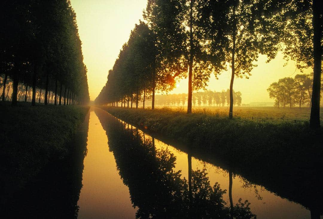 Michael Yamashitaさんのインスタグラム写真 - (Michael YamashitaInstagram)「Never too late for a good tree scape - this one along a canal outside of Bruges, Belgium. Yesterday was National Arbor Day, always the last Friday in April, to inspire people to plant, nurture and celebrate trees. #trees #arborday #bruges #belgium🇧🇪」4月28日 4時54分 - yamashitaphoto