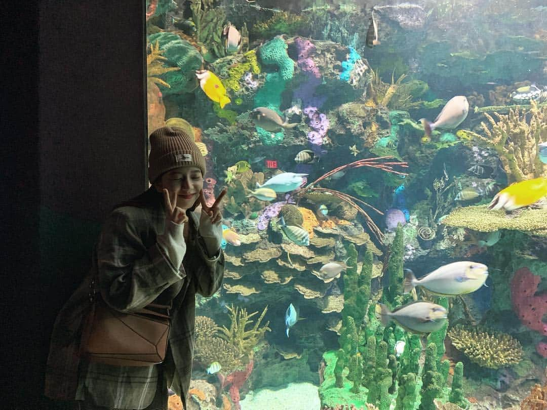 ジスさんのインスタグラム写真 - (ジスInstagram)「🐠🐠🐠」4月28日 7時02分 - sooyaaa__