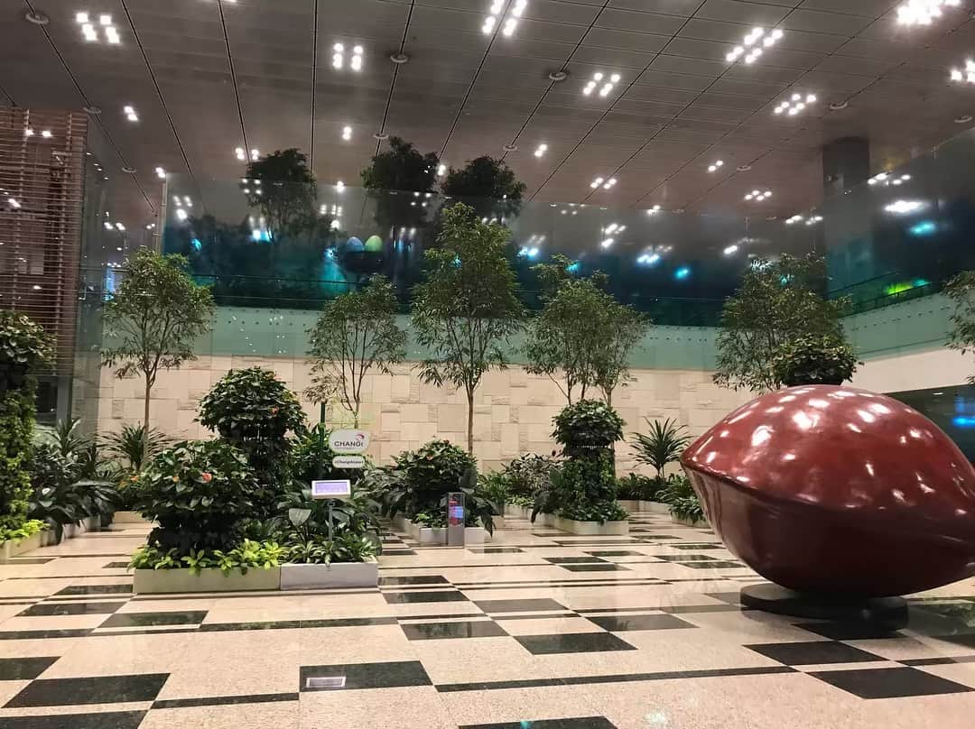 Hikari Noguchi 野口 光さんのインスタグラム写真 - (Hikari Noguchi 野口 光Instagram)「Arrived at Changi Airport  #changiairport #changi #チャンギ国際空港 #singapore」4月28日 8時00分 - hikari_noguchi
