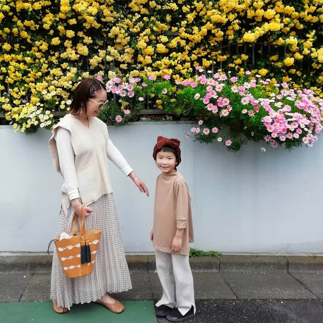 amigo.amigo.5205622のインスタグラム