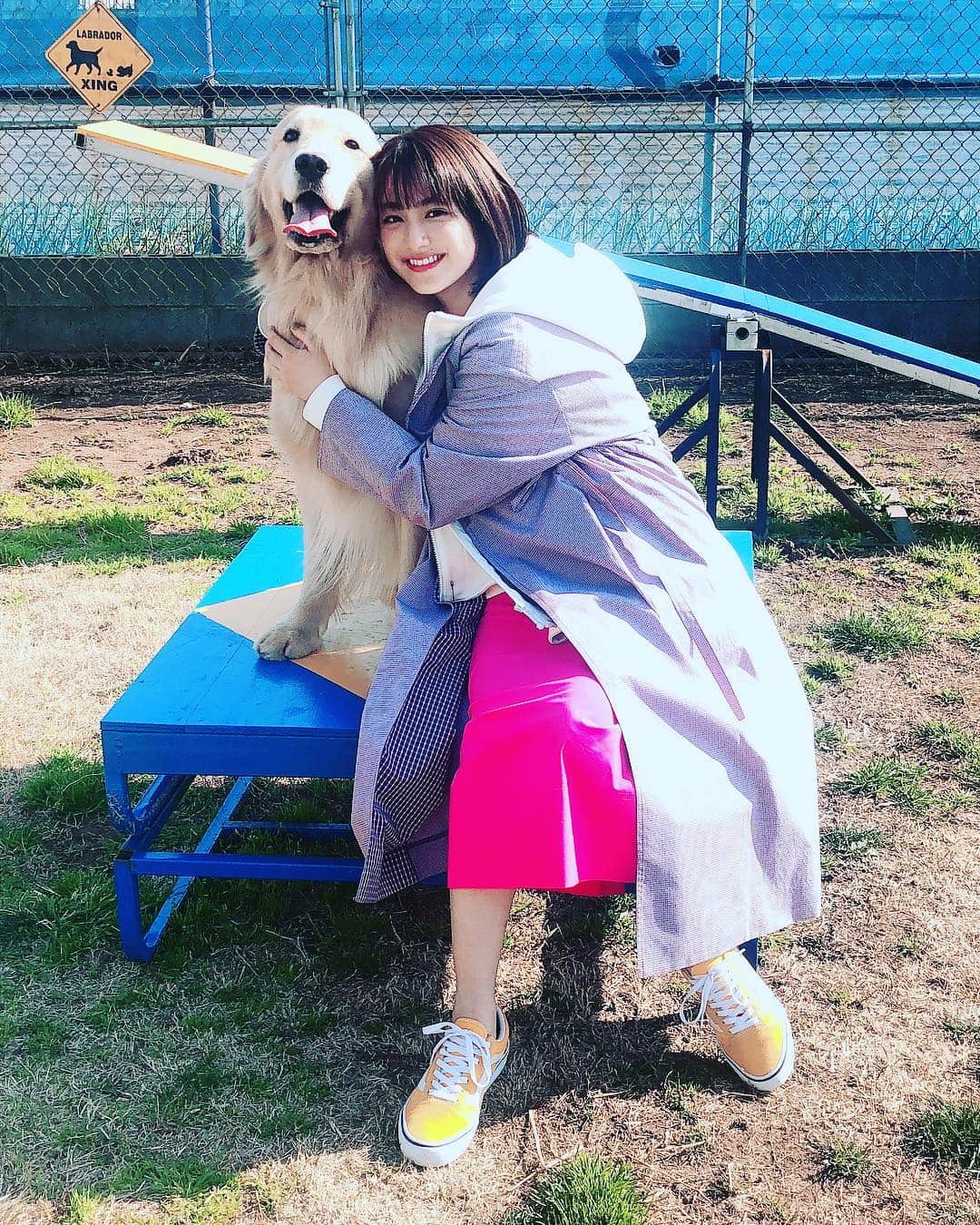 川上舞乃のインスタグラム：「今回のyunatubeはこちらです🐕 ゴールデンレトリバーといえば、フルハウスのコメット…あの子を見て、将来ゴールデンレトリバーを飼いたいと夢見た1人です😂 #yunatube  #平祐奈 #ゴールデンレトリバー  #yunafamily  衣装 Tシャツ @overlace.official  パーカー、スカート、コート @_y_o_r_i_  靴 @vansjapan @abc_mart_japan」