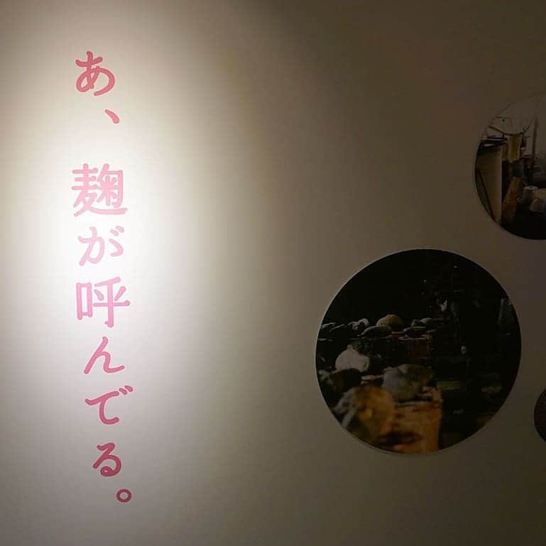 かわしま屋さんのインスタグラム写真 - (かわしま屋Instagram)「小倉ヒラクさんによる展覧会「Fermentation Tourism Nippon」のレポートを公開しました。  https://kawashima-ya.jp/contents/?p=9231 ・ レポートでは開催初日（4月26日）に行われたトークイベントや展覧会の一部を紹介しています。 ・ かわしま屋のトークイベントに登壇していただいたり、インタビューに応じてもらったり、以前からずっとお世話になっている小倉ヒラクさん。そんな彼が１年半以上かけて準備をした展覧会です。全国４７都道府県のローカルでディープな発酵の品々が展示されています。 ・ 会期は2019年7月8日まで。会期中、毎週発酵に関するイベントが繰り広げられています。無料で見られるので、渋谷に行った際はぜひヒカリエ8階の会場を覗いてみてください。 ・ #danddepartment#fermentationtourismnippon #発酵ツーリズム #日本発酵紀行 #発酵 #ferment #発酵デパートメント #d47museum#小倉ヒラク#hirakuogura#かわしまや #かわしま屋 #麹#kawashimaya #fermented #丁寧な暮らし  #fermentation #fermentedfood #japan #instagramjapan #IGersJP #ig_japan #jp_views #日本 #発酵 #発酵食品#発酵生活 #発酵美 #ナチュラル #丁寧な暮らし」4月28日 8時39分 - kawashima_ya