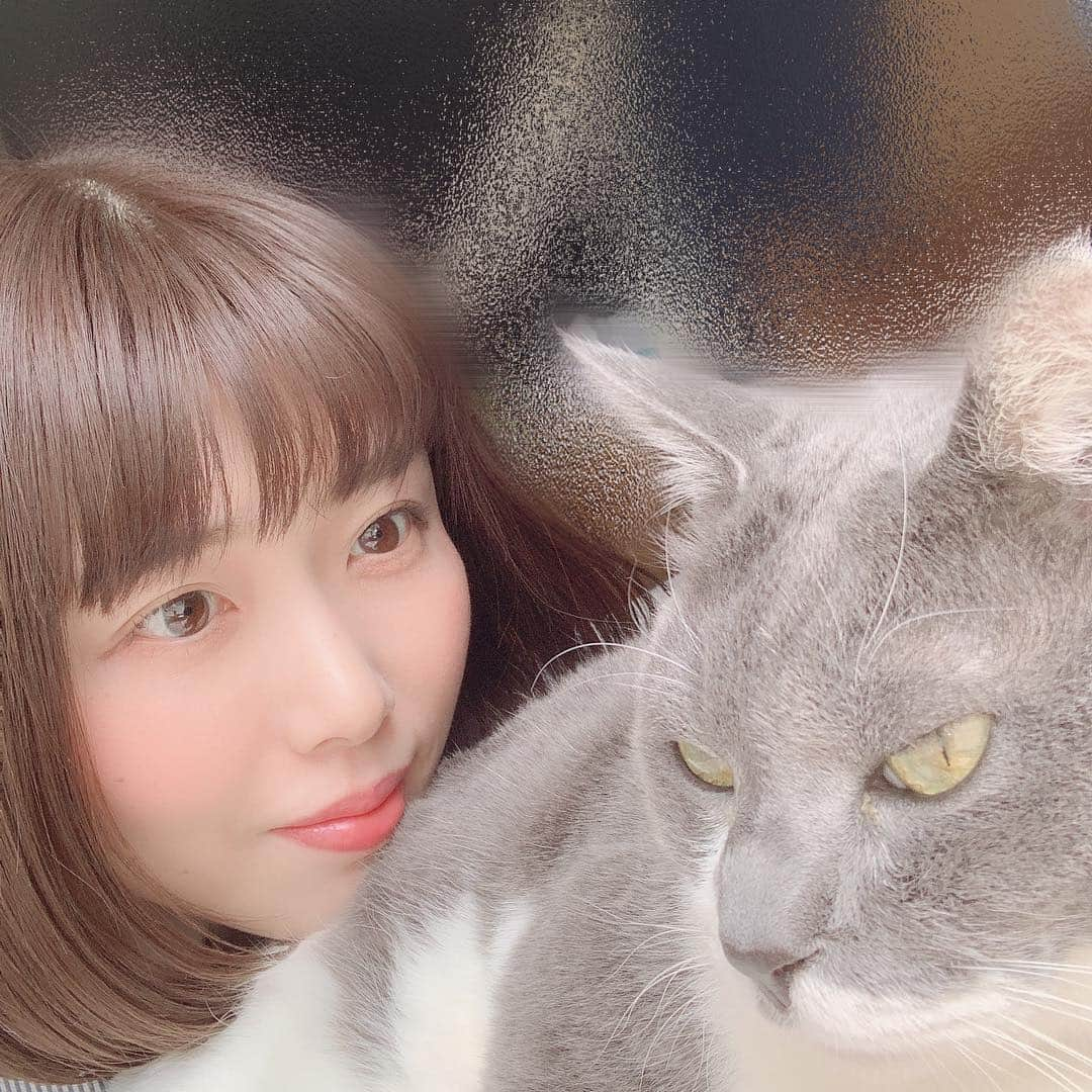 後藤紗亜弥さんのインスタグラム写真 - (後藤紗亜弥Instagram)「🐈🐈 #後藤紗亜弥 #gotosaaya  #mycat🐱 #しんのすけ」4月28日 19時53分 - saaya_goto