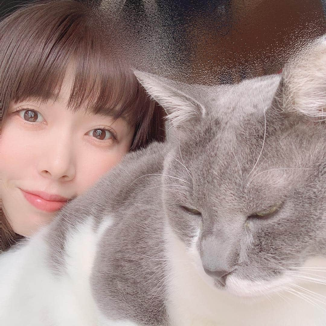 後藤紗亜弥さんのインスタグラム写真 - (後藤紗亜弥Instagram)「🐈🐈 #後藤紗亜弥 #gotosaaya  #mycat🐱 #しんのすけ」4月28日 19時53分 - saaya_goto