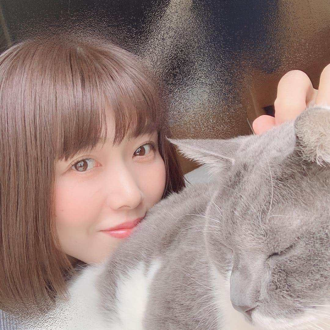 後藤紗亜弥さんのインスタグラム写真 - (後藤紗亜弥Instagram)「🐈🐈 #後藤紗亜弥 #gotosaaya  #mycat🐱 #しんのすけ」4月28日 19時53分 - saaya_goto