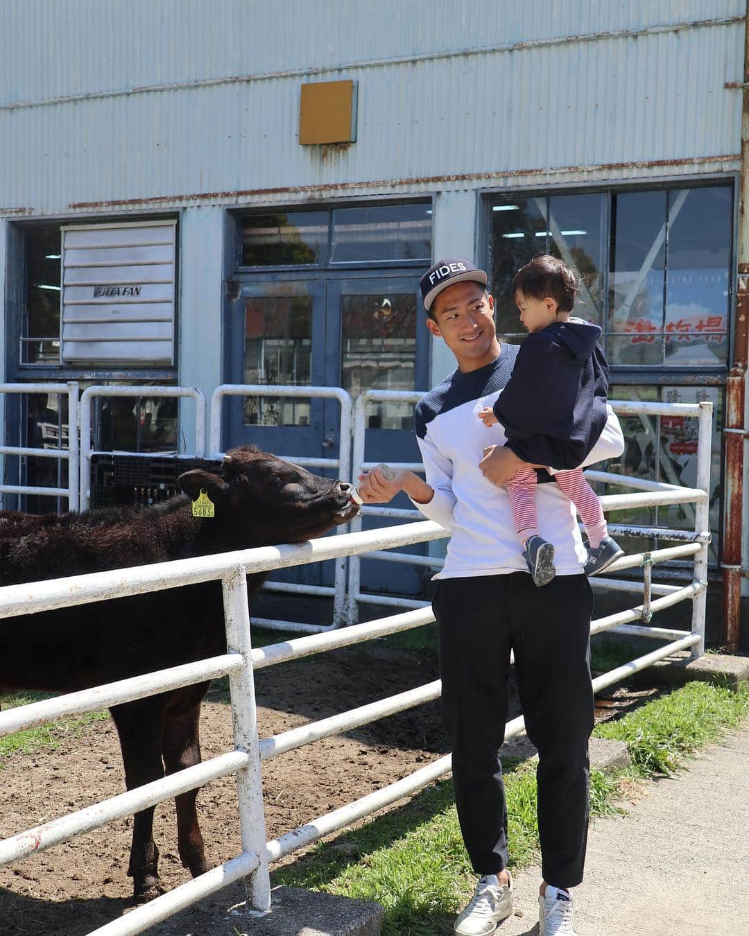 村上萌さんのインスタグラム写真 - (村上萌Instagram)「札幌に住んでる時に友達とシェアファームをしていたことを知って、なんとしまむらが農業ウェアを送ってくれた…！😂👏🏻 ﻿ ﻿ 大阪では、まだ近くに畑を見つけられていないけど、この前家族で淡路島牧場に行った時の乳搾り時に、早速大活躍🐮 ﻿ ﻿ 農業女子とコラボして作られているので、UV対策素材のパーカーや、スマホが落ちない仕様のポケットが付いたパンツとか…！なんといっても、しまむら価格だし庭いじりが趣味の人にも喜ばれそう。 ﻿ 娘に着せたTシャツには、ローマ字でUSHIの文字という斬新さ🐄﻿(ちなみにYASAIバージョンもある) ﻿ ﻿ 最後の写真は、夢のようなエディブルガーデンに育った札幌のシェアファーム。大阪でもこんなご縁があったらいいな。しまむらさん、ありがとうございました🤝 ﻿ ﻿ ﻿ #しまむら #農業 #乳搾り #淡路島牧場 #かぞくごと  #おさえてないとピョンってなる乳搾り帽」4月28日 19時19分 - moemurakami_