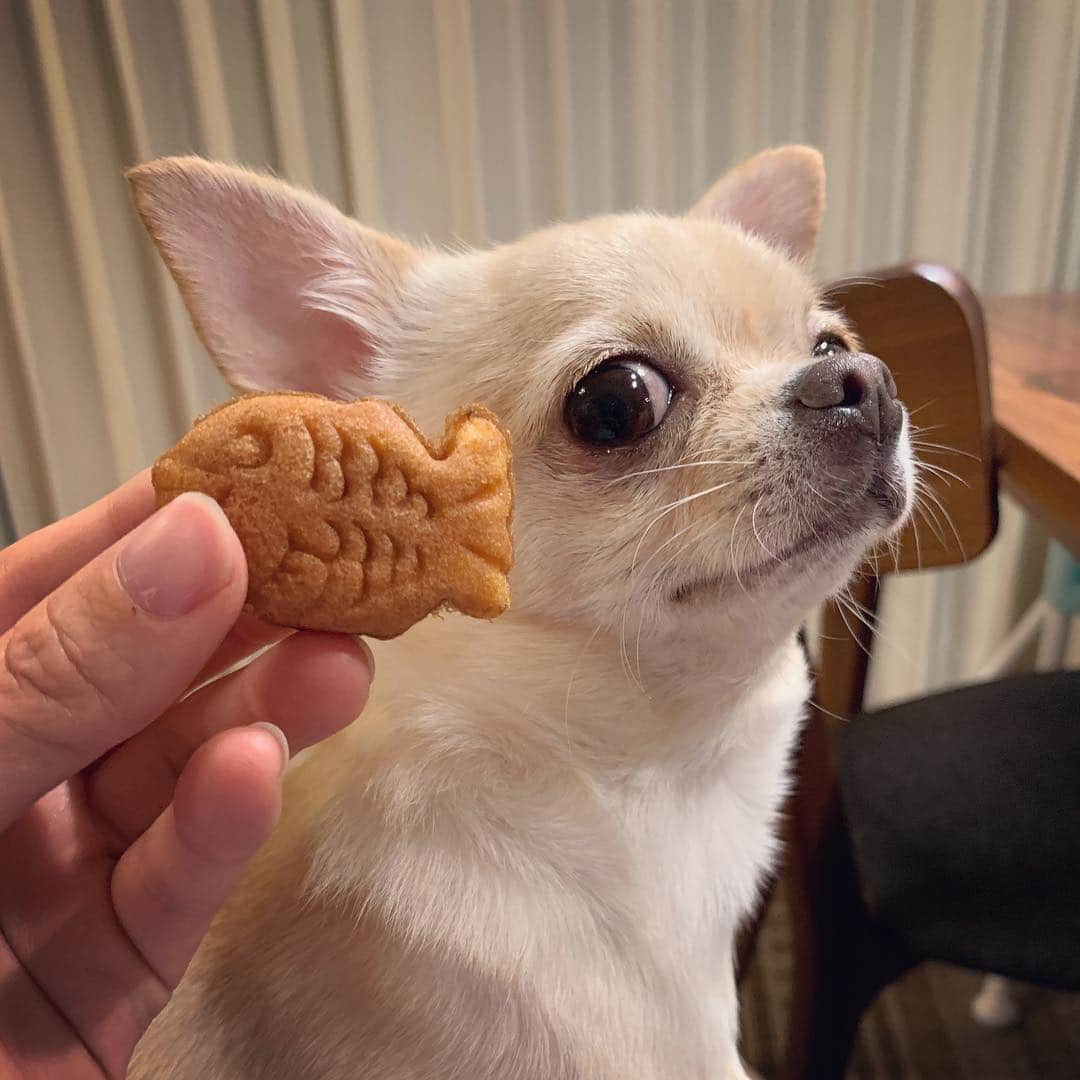 巴田みず希のインスタグラム