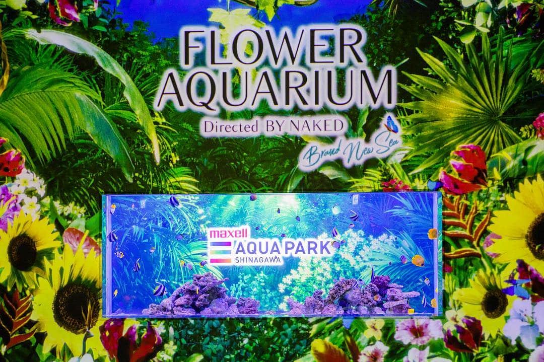 アクアパーク品川さんのインスタグラム写真 - (アクアパーク品川Instagram)「GWは、音楽や花と光あふれる、鮮やかな海の世界へ。⁣﻿ 「FLOWER AQUARIUM Directed BY NAKED -Brand New Sea - 」⁣﻿ ⁣﻿ 皆さまをお迎えするエントランスゾーンから、⁣﻿ 色とりどりの花々と緑が広がります🌼⁣﻿ ⁣﻿ 時間や天候を問わずお楽しみいただける⁣﻿ 初夏の絶景を、ぜひご体感ください♪⁣﻿ ⁣﻿ #マクセルアクアパーク品川 #MaxellAquaParkShinagawa⁣﻿ #アクアパーク #aquapark #アクアパーク品川 #aquaparkshinagawa ⁣﻿ #都市型水族館 #水族館 #TheEntertainmentAquarium⁣﻿ ⁣﻿ #FlowerAquarium #フラワーアクアリウム⁣﻿ #初夏 #アーリーサマー #EarlySummer #花 #フラワー #flower #Entrance #WelcomeFlowerGate⁣﻿ #ゴールデンウィーク #GoldenWeek #GW⁣﻿ #nakedinc #フォトジェニック #インスタ映え #光 #音 #Beautiful」4月28日 11時01分 - aquapark_official