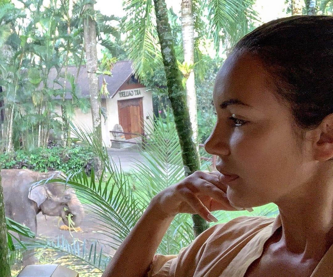 Aylen Aのインスタグラム：「Asian elephants have declined in numbers by at least 50% in the last three generations. There are around 40,000-50,000 elephants left in Asia.. Save the elephants 🙏🐘」