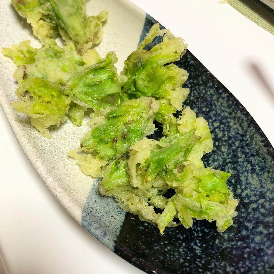 今井美穂さんのインスタグラム写真 - (今井美穂Instagram)「生ホタルイカで炊き込みご飯〜😆﻿ 春の山菜で天ぷら〜😆﻿ ﻿ 旬をいただく﻿ 幸せですね😍﻿ ﻿ 今夜は何にしようかな〜？﻿ ﻿ #ブログ更新しました﻿ #インスタトップのリンクから﻿ #今井美穂オフィシャルブログ﻿ #Amebaブログ﻿ #新米母#男の子ママ﻿ #育児日記#我が家の食卓﻿ #旬の食材#山菜#ホタルイカ」4月28日 11時07分 - imaimiho1209