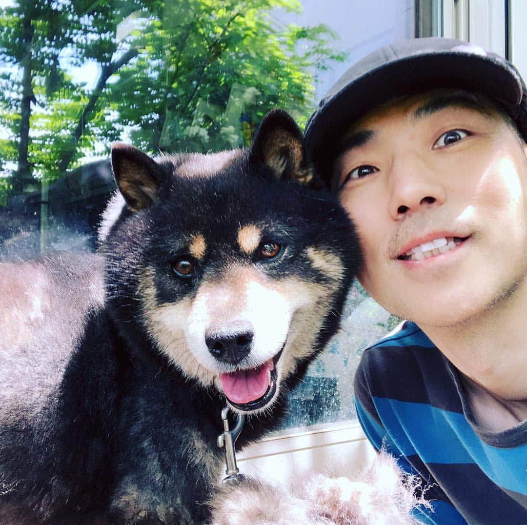木山裕策さんのインスタグラム写真 - (木山裕策Instagram)「カントの冬毛の手入れ🐕  バレーボール🏐くらいの毛玉をとったけど、まだまだ背中に残ってる。続きはまた明日〜💈」4月28日 11時35分 - kiyamayusaku