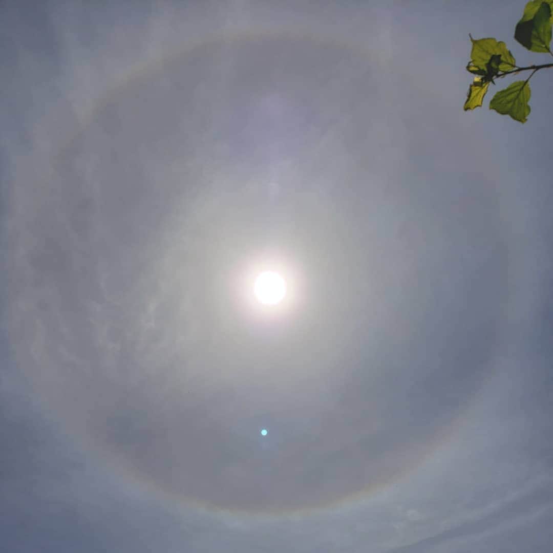 信國太志のインスタグラム：「Garab Dorje manifested on the first day of dugnal rangdrolk drupchen in Japan. Alas la !」