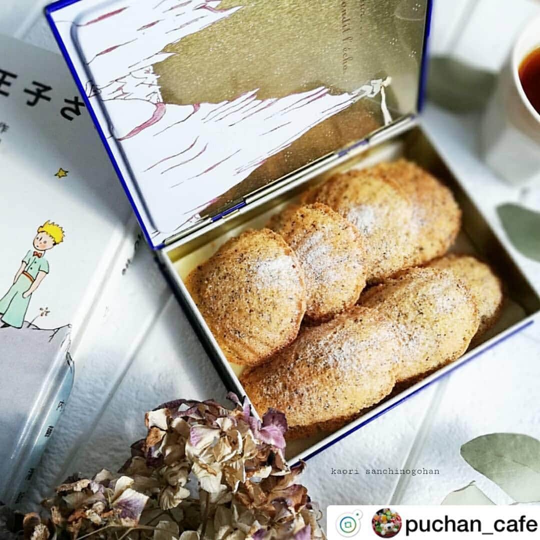 アルペンザルツ公式Instagramのインスタグラム