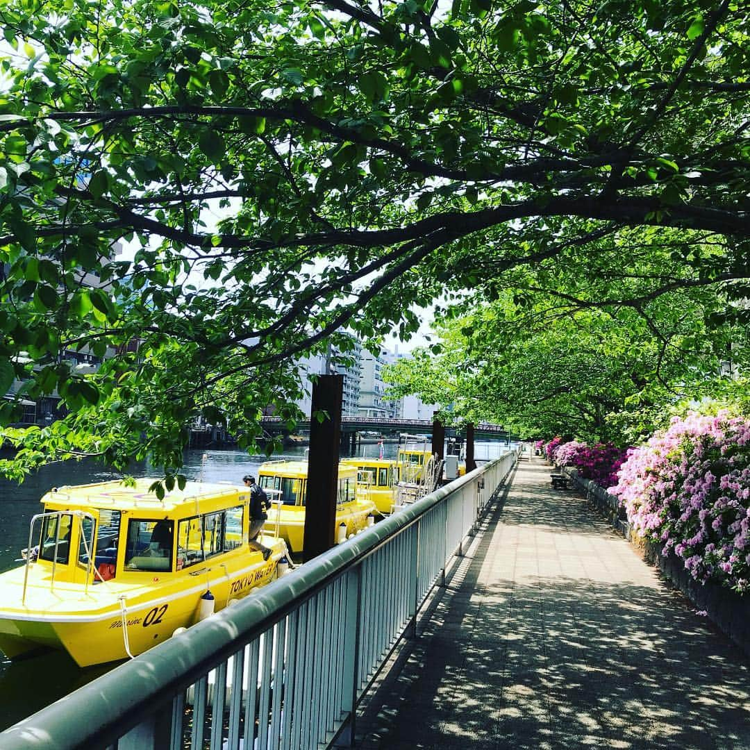 TOKYO WATER TAXIのインスタグラム