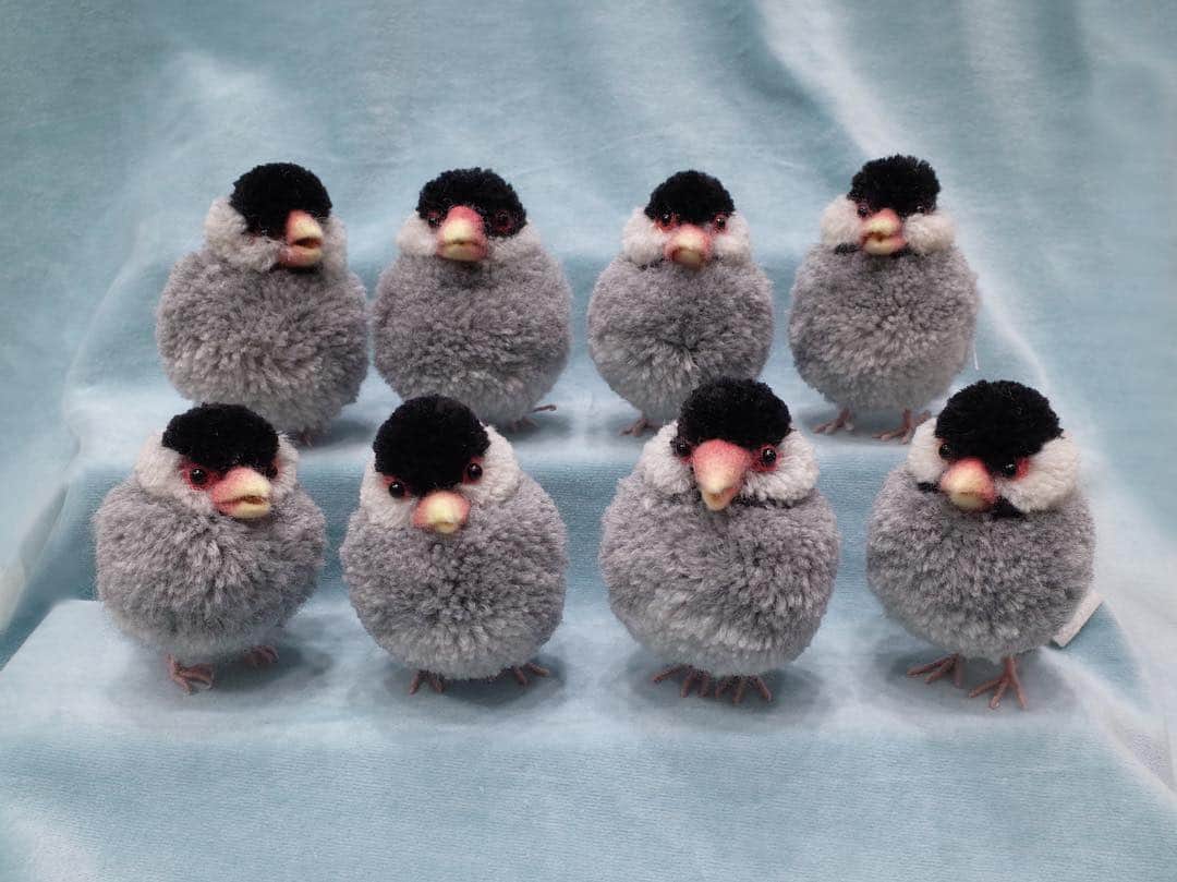 黒田翼（動物ぽんぽん）のインスタグラム