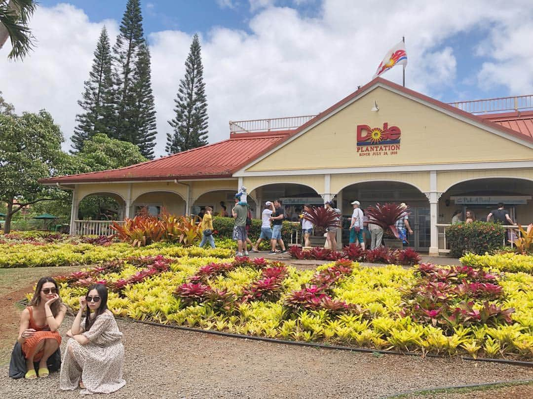 名取稚菜さんのインスタグラム写真 - (名取稚菜Instagram)「DOLEにも行けたよー☀️ 🍍🥰 . . . #hawaii #oahu #dole #tripstagram  #ハワイ #ハワイ旅行 #ドール #🍍」4月28日 13時50分 - wakana_1995