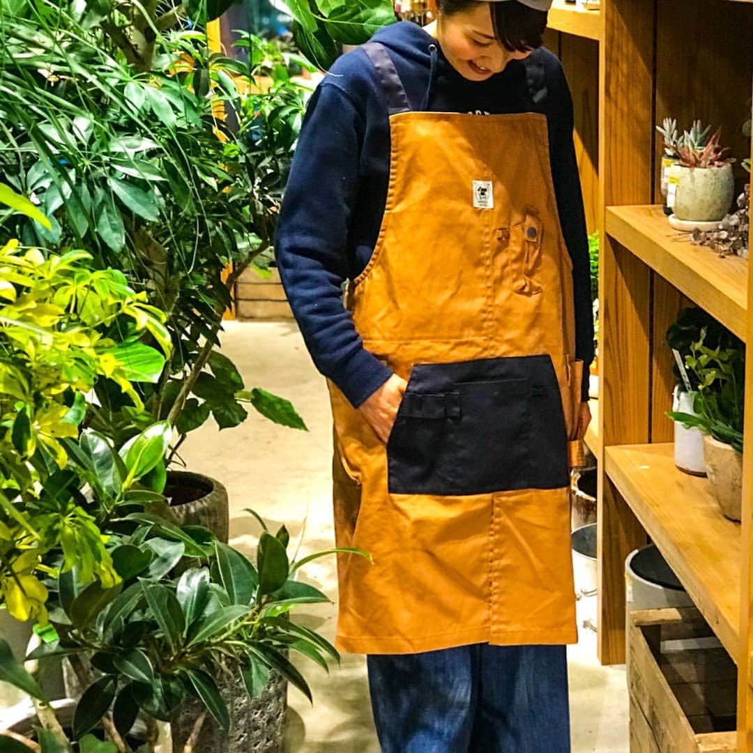 ニコアンドのグルメインスタ