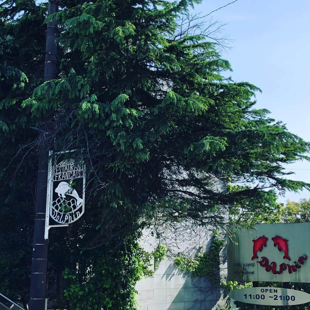 岡田美里のグルメインスタ