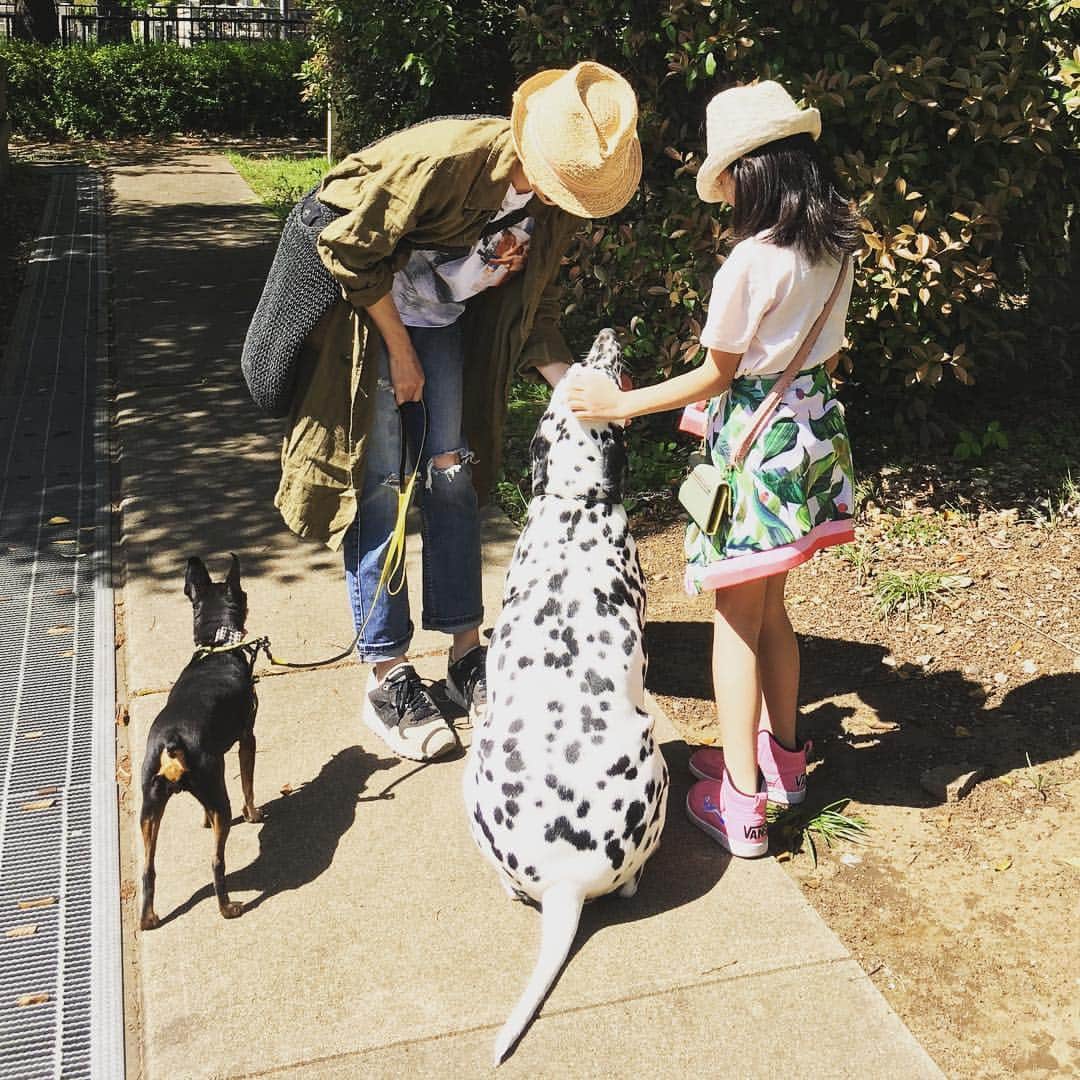 高岡早紀 さんのインスタグラム写真 - (高岡早紀 Instagram)「娘と犬たちと過ごす、日曜日。。 #dalmatian #ミニピン #娘」4月28日 15時25分 - saki_takaoka