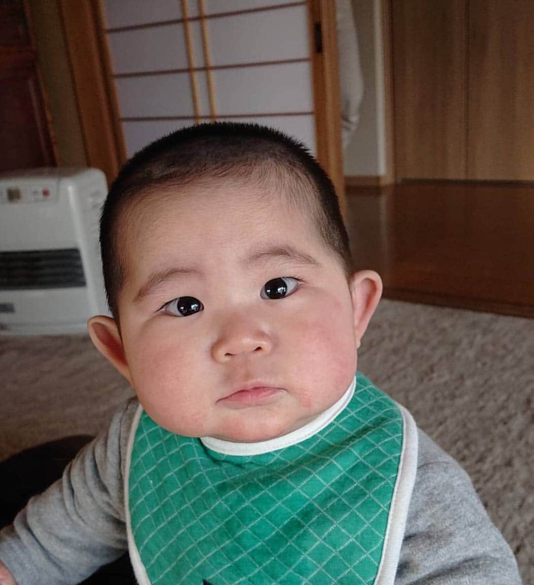 高橋みゆきのインスタグラム：「シンボー👶💓💓NEWヘアー😍 #シンボー #ボウズデビュー」