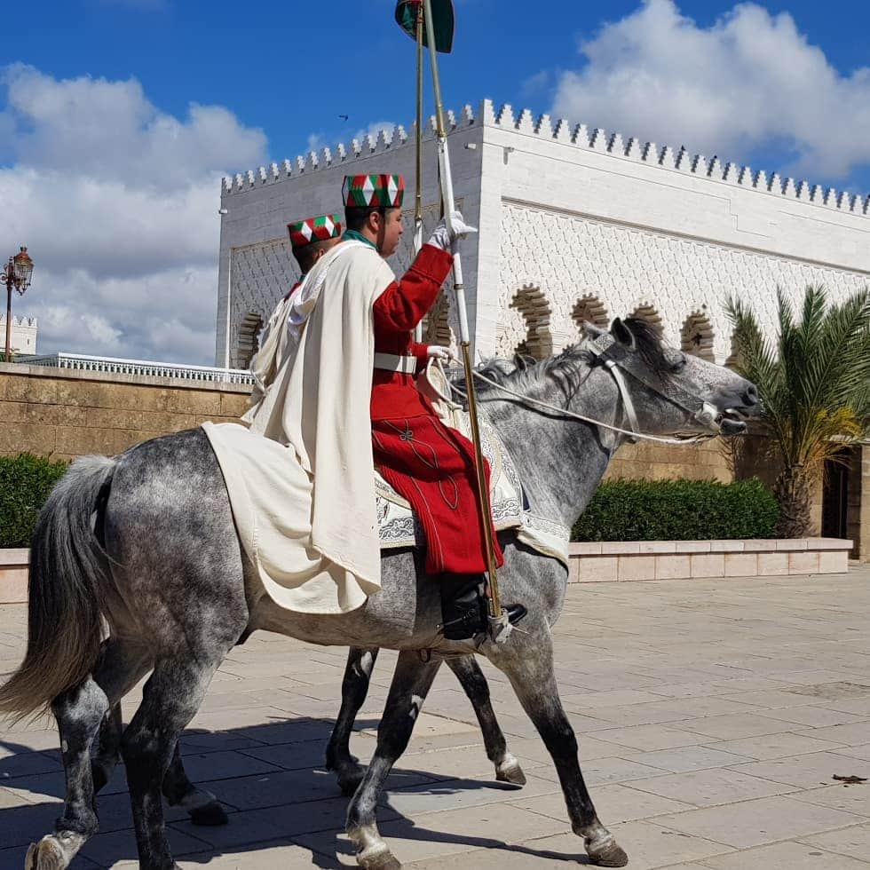 平井絵巳さんのインスタグラム写真 - (平井絵巳Instagram)「先週の事ですが、 お仕事でモロッコへ🇲🇦 ステキな新しいお友達との出会いに、ステキな時間を過ごせたことに感謝😊💕 Last week I was in Moroc for work. Thank you to meet new friends😘 and  amazing time with you🤗」4月28日 15時43分 - emiiiii_hra