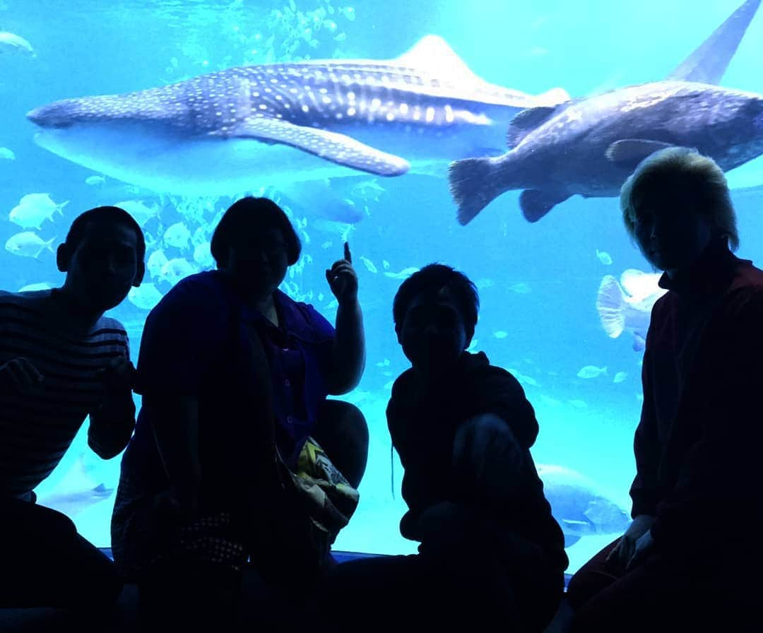 カズレーザーさんのインスタグラム写真 - (カズレーザーInstagram)「海遊館でジンベエザメとタマカイを前に、渾身の一枚。 みんな、良い表情してます。」4月28日 15時45分 - kazlaser