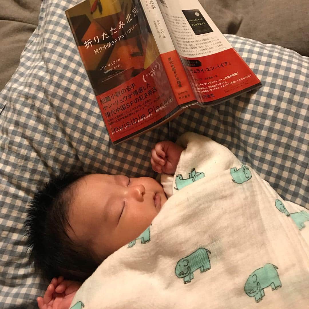 松田青子のインスタグラム：「35 days old」