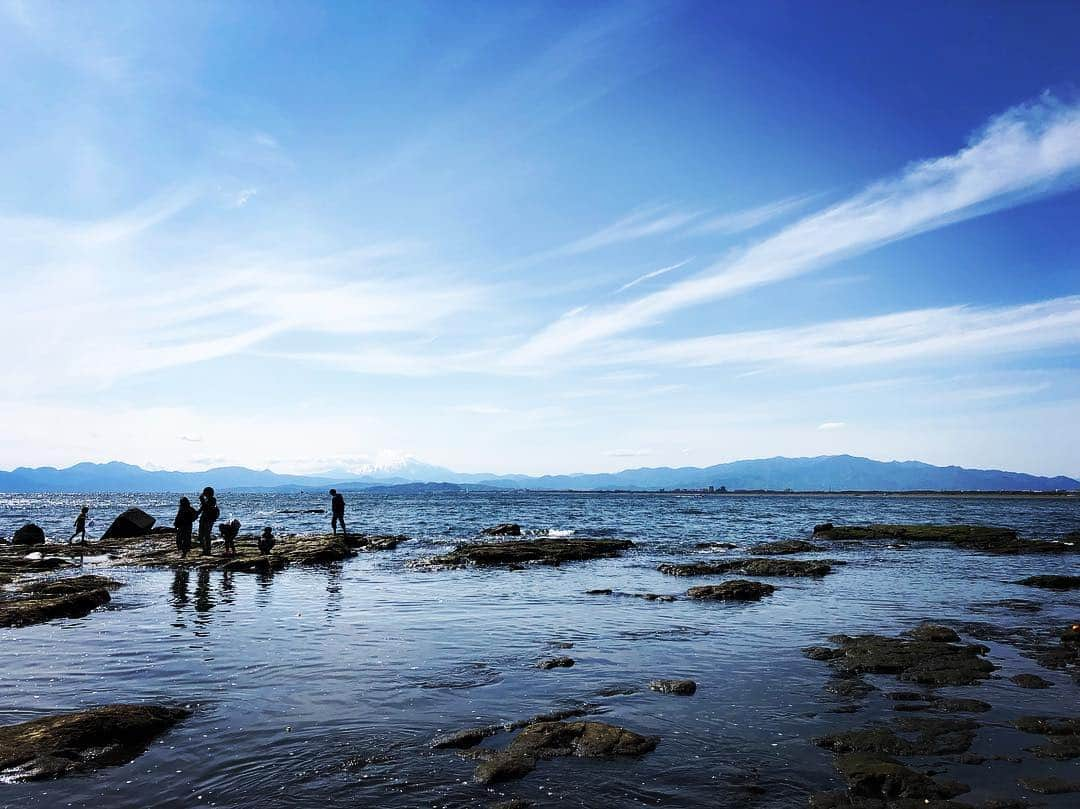 birdさんのインスタグラム写真 - (birdInstagram)「#sea #sky」4月28日 16時56分 - birdwatchnet