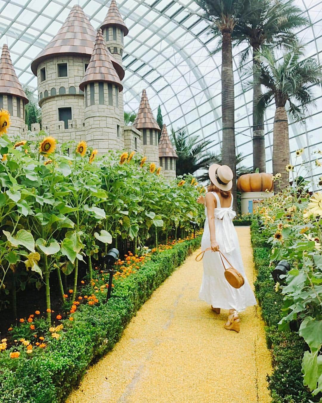 畑田亜希さんのインスタグラム写真 - (畑田亜希Instagram)「いつかのヒマワリ🌻 ・ Garden by the bay🇸🇬 ・ GW 10連休って、、、😆 ・ Have a great holiday 🌈 ・ #2019 #SG #gardenbythebay #向日葵#sunflower #gw #10連休 #havefun」4月28日 17時22分 - akihatada