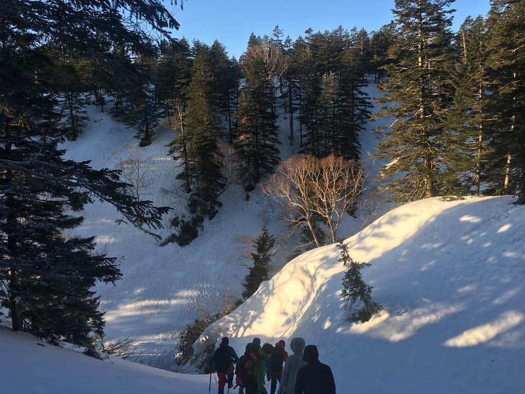 長澤青空さんのインスタグラム写真 - (長澤青空Instagram)「山岳部なのに山登らねーじゃんってバカにされてましたががっちり雪山訓練してきました。 朝4時起きで山に向かい、10時ごろから40キロ50キロの薪を背負って1キロ以上を2.5往復したり、飯を作ったり夜7時半から雪洞堀り始めたり、また朝4時起き5時開始でステップやらピッケルでの滑落静止、ビレイ練習等。 むっちゃ楽しかったけど凄まじく身体が疲れたなあ そして圏外だけど意外と生きていけた #山岳部 #雪山 #蔵王 #ヒュッテ #雪洞 #訓練 #雪上 #早朝訓練は氷点下8度 #昼の氷点下3度は暖かい #感覚麻痺 #登山靴持ってない組はアプローチか長靴参戦 #基本つま先の感覚は無い #久しぶりの雪 #GW #大学生なのに過酷 #そり遊びはマジで全力で楽しい #薪50キロで1キロ下山は肩と膝と腰が壊れる #僕達はまだ弱い」4月28日 17時37分 - foifoi3