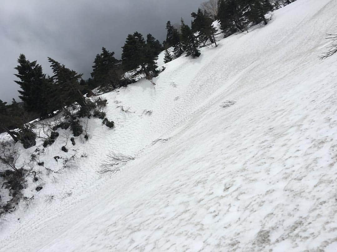 長澤青空さんのインスタグラム写真 - (長澤青空Instagram)「山岳部なのに山登らねーじゃんってバカにされてましたががっちり雪山訓練してきました。 朝4時起きで山に向かい、10時ごろから40キロ50キロの薪を背負って1キロ以上を2.5往復したり、飯を作ったり夜7時半から雪洞堀り始めたり、また朝4時起き5時開始でステップやらピッケルでの滑落静止、ビレイ練習等。 むっちゃ楽しかったけど凄まじく身体が疲れたなあ そして圏外だけど意外と生きていけた #山岳部 #雪山 #蔵王 #ヒュッテ #雪洞 #訓練 #雪上 #早朝訓練は氷点下8度 #昼の氷点下3度は暖かい #感覚麻痺 #登山靴持ってない組はアプローチか長靴参戦 #基本つま先の感覚は無い #久しぶりの雪 #GW #大学生なのに過酷 #そり遊びはマジで全力で楽しい #薪50キロで1キロ下山は肩と膝と腰が壊れる #僕達はまだ弱い」4月28日 17時37分 - foifoi3