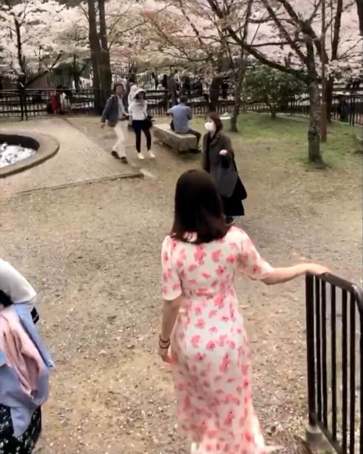 ハウンのインスタグラム：「遊びに行きたい！！！🌸🌸」