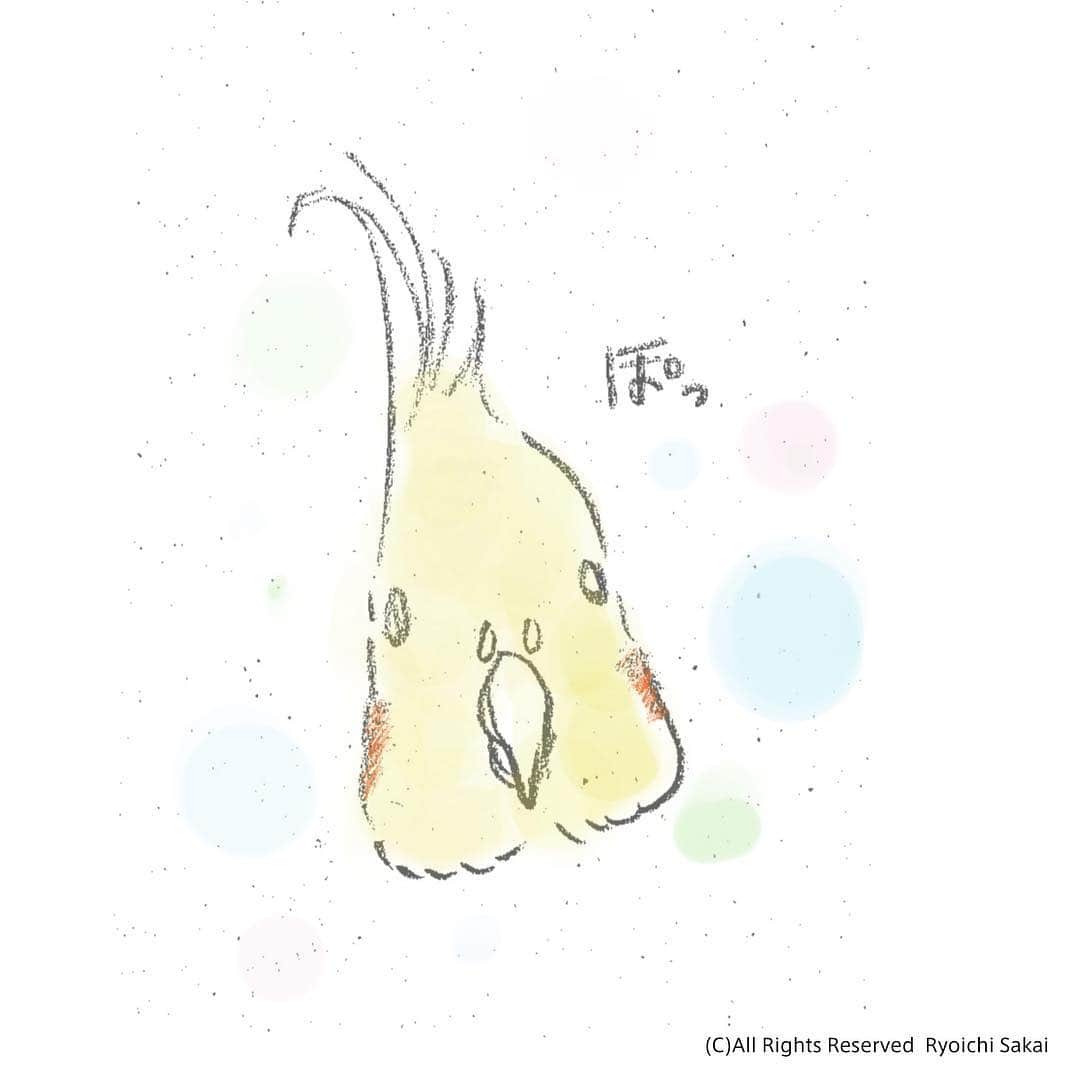 YURAPOi ゆらぽぃさんのインスタグラム写真 - (YURAPOi ゆらぽぃInstagram)「my Illustration 『ぽっ』 ©︎ All Right Reserved Ryoichi Sakai  放鳥時に、ぽぃちゃんを見ながら描きました。気持ちのこもった絵を描き続けるぞ！☺️」4月28日 20時09分 - ryoichisakai