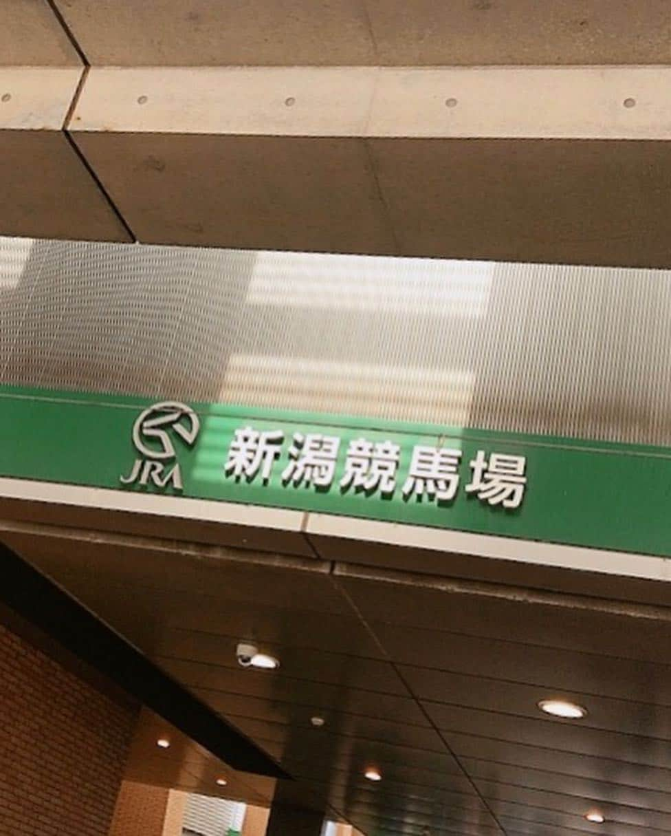 祥子さんのインスタグラム写真 - (祥子Instagram)「🐴 本日は新潟でお仕事。 ＠新潟競馬場 NST「NSTみんなのKEIBA」に出演させて頂きました🤗 : 朝から色んなハプニングがありましたが、 とてもとても良い勉強になりました🙏✨ : 衣装👗 ・ワンピース…NorieM ・アクセサリー…phoebe #仕事 #work #生放送 #競馬 #keiba #新潟 #新潟競馬場 #天皇賞春  #衣装 #ワンピース @noriem_press #アクセサリー @phoebe_official_news  #ありがとうございました 😊」4月28日 20時14分 - sho_ko.0413