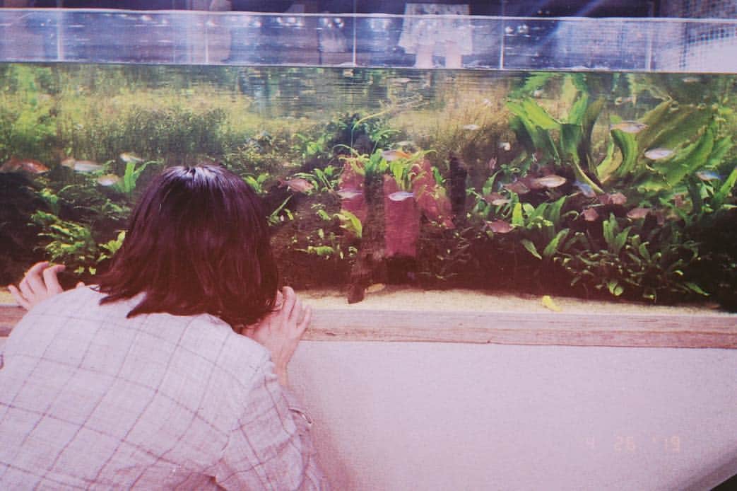 水川あさみのインスタグラム：「あやみちゃんの事をポーと呼んでます。魚を食い入るように見てるわたしをお洒落な加工写真でポーが撮ってくれました。 でもまったく顔が写ってへんやん。なんでやねん😂 #白衣の戦士」