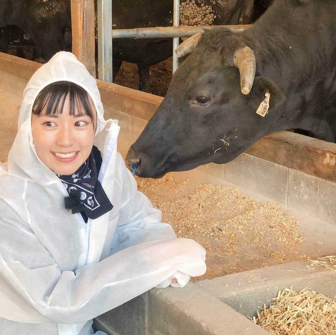 渡辺早織さんのインスタグラム写真 - (渡辺早織Instagram)「うまいッ！お引越しします🚚 月曜ひる0時20分〜0時43分まで！ スタジオも一新。さわやかなマルシェ風で素敵です🍅🥒 明日4/29 肉の日のテーマは宮崎県の尾崎牛！ 私が担当します！  大事に長く育てられた牛さんのすごい秘密とは🐃⁉️ 知る人ぞ知る逸品です！！ ぜひチェックしてください✨  #NHK #うまいッ #尾崎牛」4月28日 20時57分 - _watanabesaori_