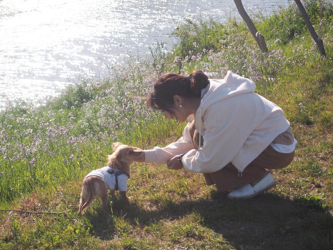 村上奈菜さんのインスタグラム写真 - (村上奈菜Instagram)「🐶🍀」4月28日 21時02分 - murakami__nana