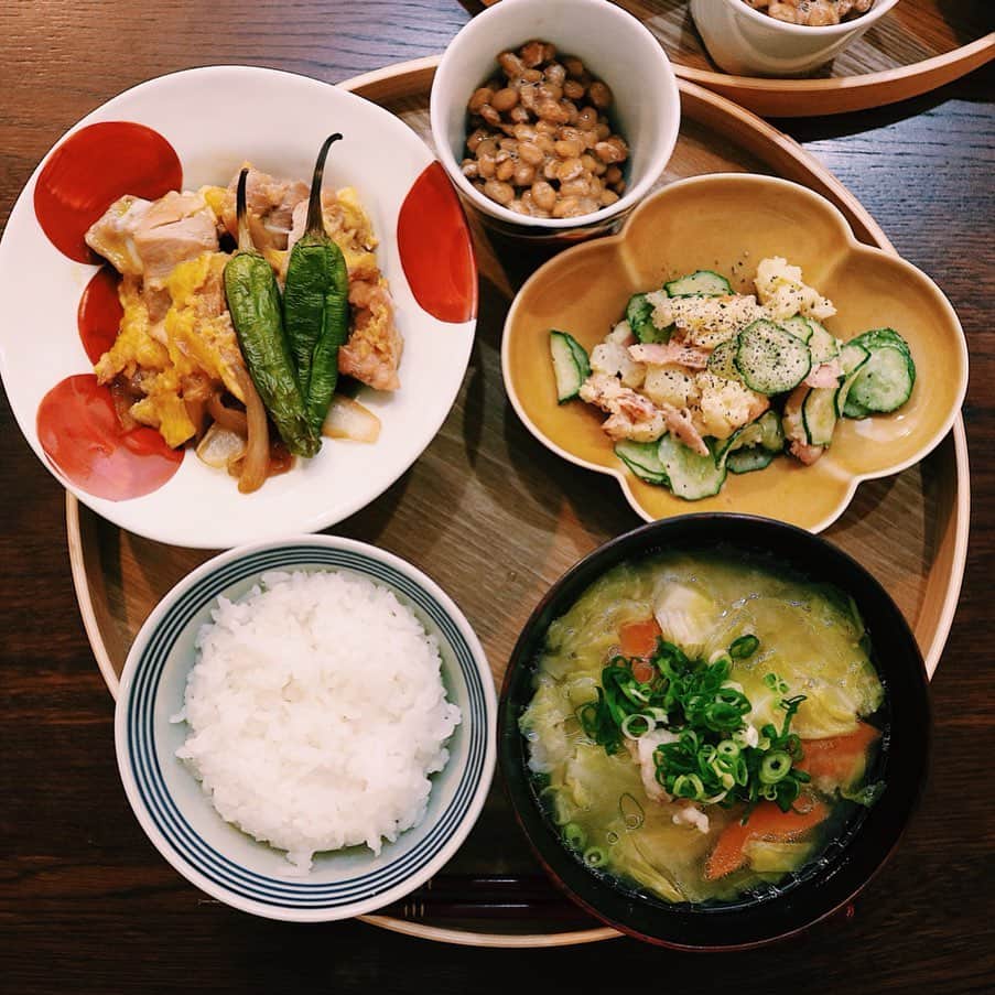 ゆかり/yukariのインスタグラム：「夜ごはん 白米、モツとキャベツの味噌汁、ポテトサラダ、納豆、鶏肉の卵とじ 小学校に上がったばかりの双子が、口ぐちに学校が楽しいというので、学校嫌いの自分とは似なくて何よりだと思う。 * * * #おうちごはん #うちごはん #晩ごはん #夜ごはん #夕食 #料理 #手料理 #食卓 #自炊 #家庭料理 #料理好きな人と繋がりたい #暮らし #テーブルコーディネート #おうちごはんLover #food #japanesefood #foodpic #料理記録 #和食 #一汁一菜 #今日の晩御飯 #ていねいな暮らし #フーディーテーブル」