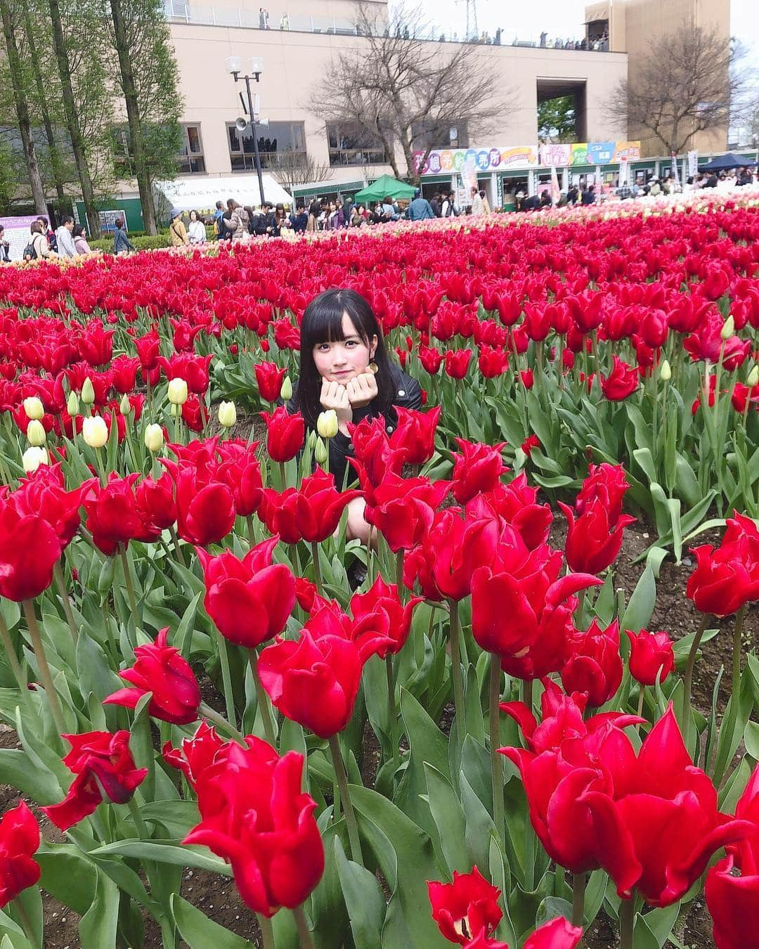 平野ひかるさんのインスタグラム写真 - (平野ひかるInstagram)「🌷🌷🌷 #富山 #砺波チューリップ公園 #となみチューリップフェア  #2019 #チューリップ畑 #tulip  #nature  #flowers」4月28日 22時13分 - hikarun80129