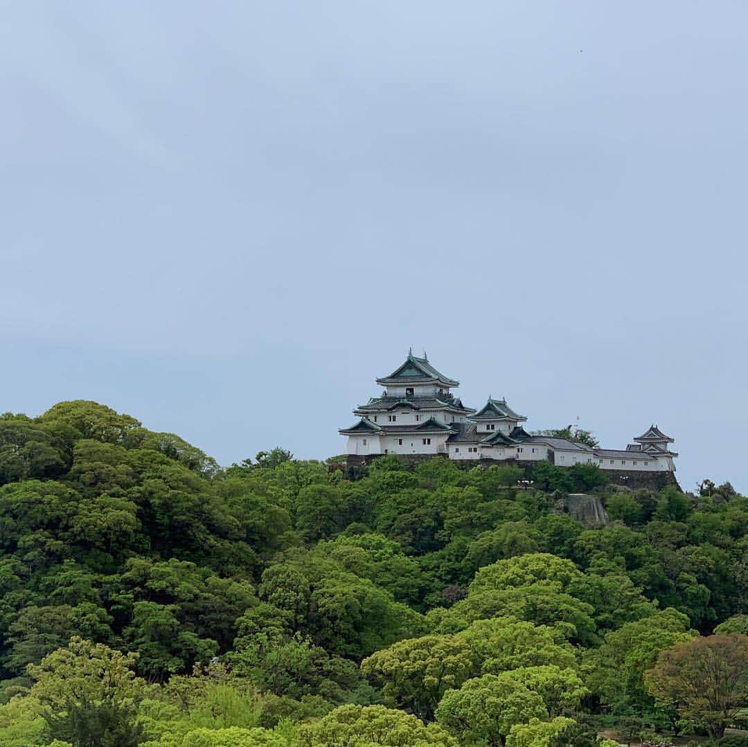 世耕弘成のインスタグラム：「新緑の和歌山城、美しい。」
