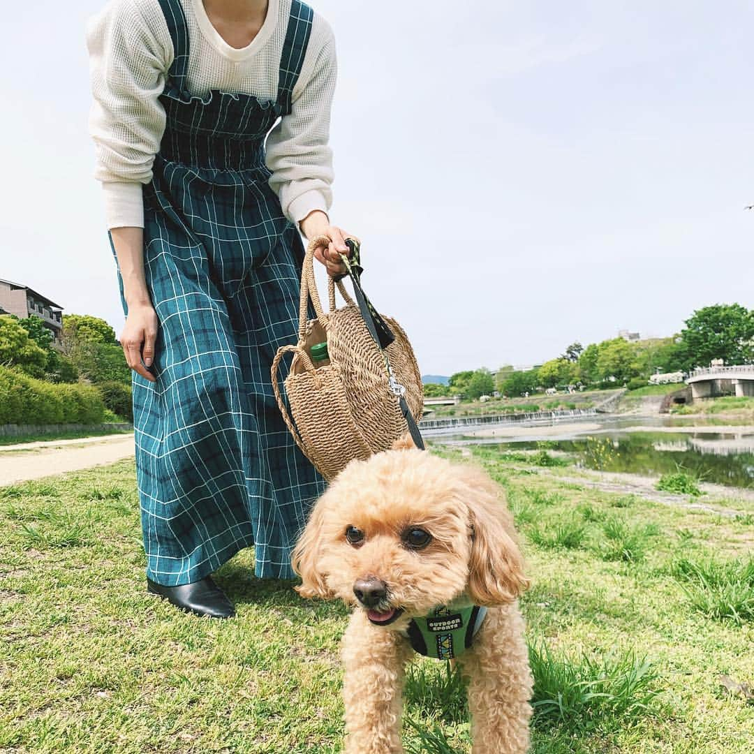 谷奥えり（えまえり）さんのインスタグラム写真 - (谷奥えり（えまえり）Instagram)「夏になったらノースリーブで着たいな🥺」4月28日 22時09分 - eritanitani